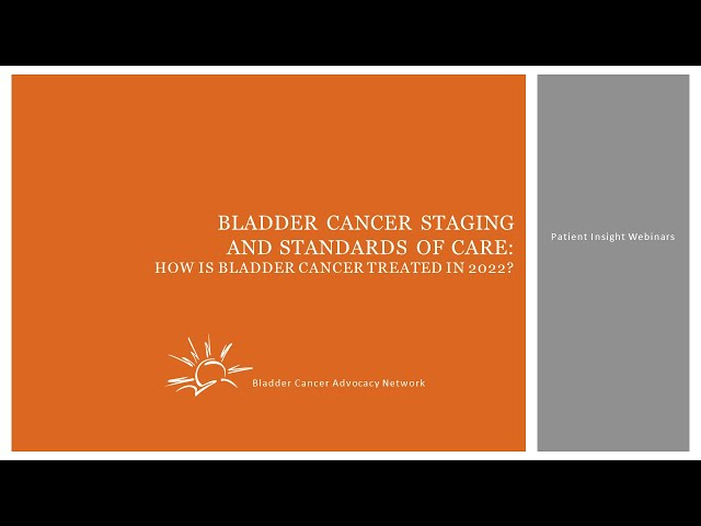 Staging and Standards of Care for Non Muscle Invasive Bladder Cancer