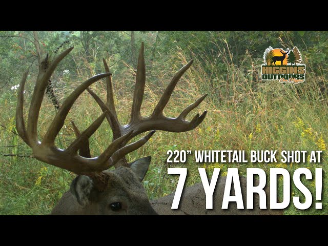 220 inch whitetail buck shot at 7 yards!