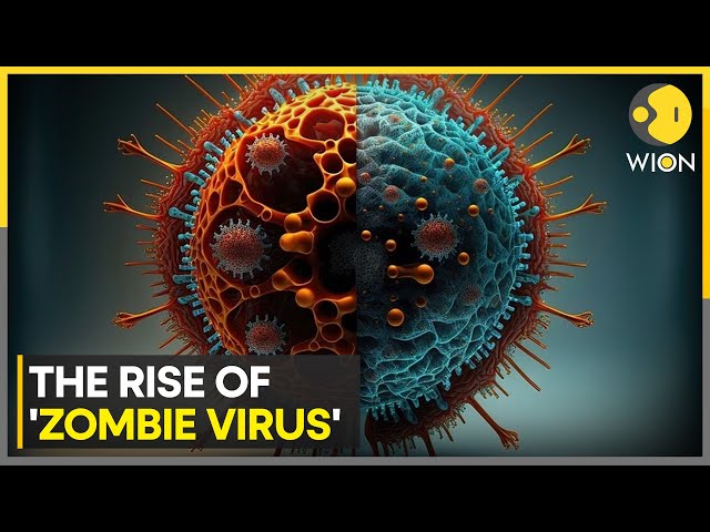 Scientists sound alarm for potential outbreak of Zombie Virus | WION