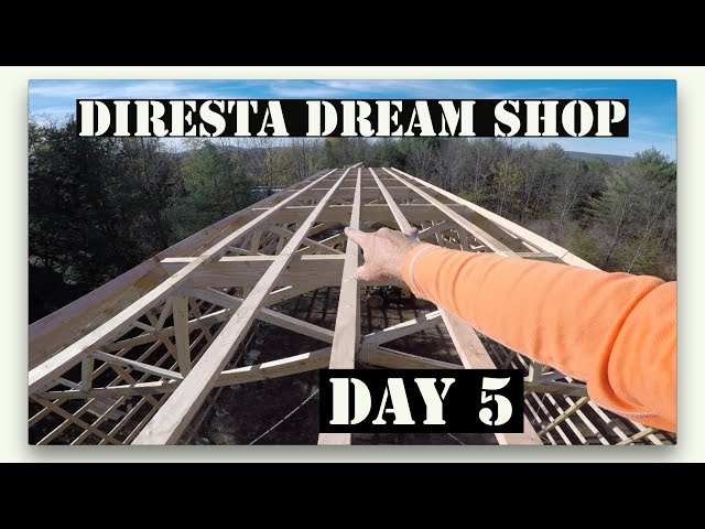 day 5... DiResta Dream Build