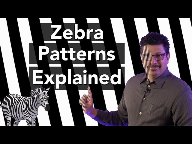 Camera Zebra Patterns Explained