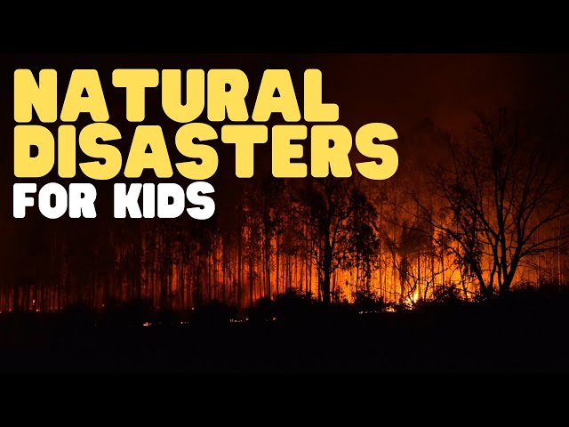 Natural Disasters for Kids | Learn about tornados, hurricanes, and more!