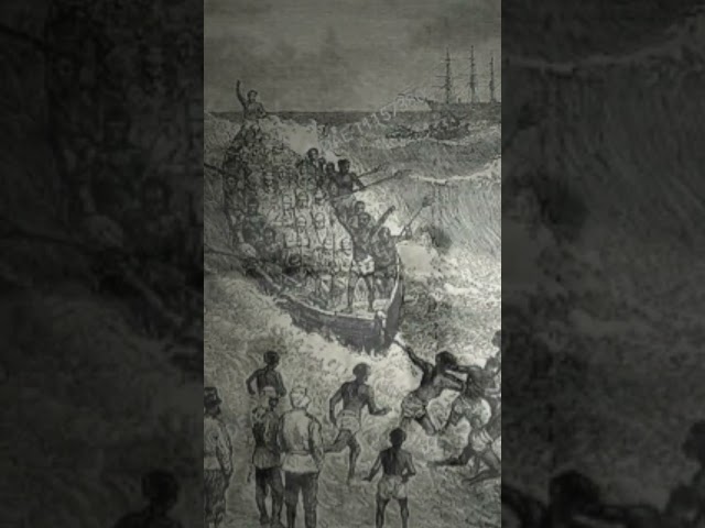 TRUTH about the Transatlantic Slave Trade - Forgotten History Shorts