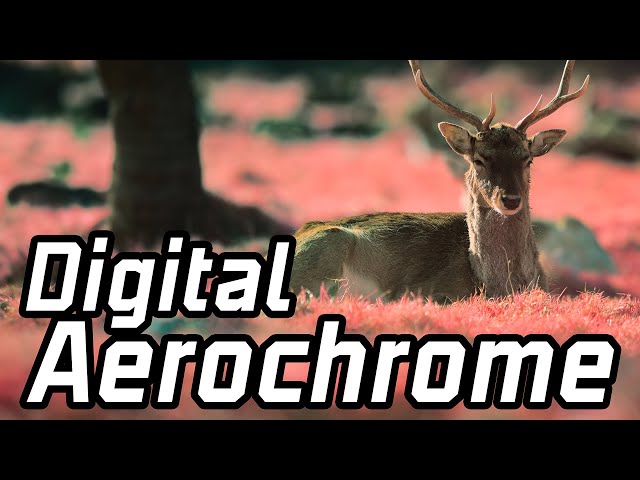 Creating Digital Aerochrome