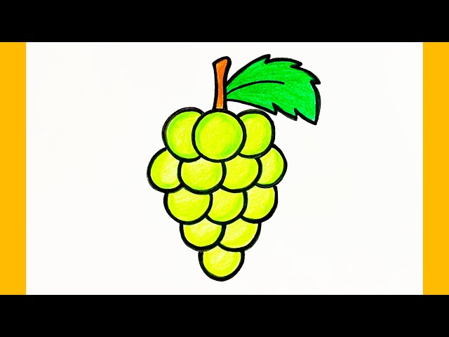 How to draw grapes step by step| Grapes drawing
