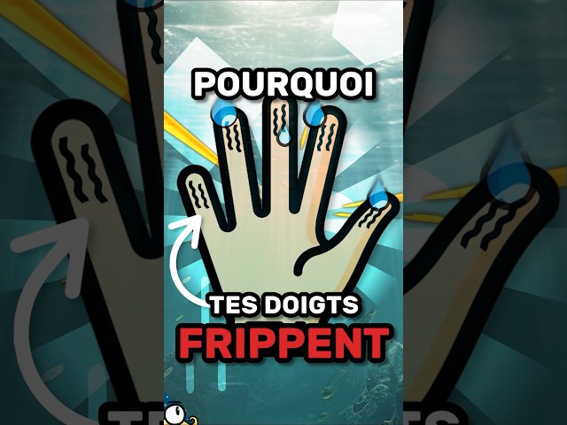 POURQUOI tes DOIGTS FRIPPENT ? 👋