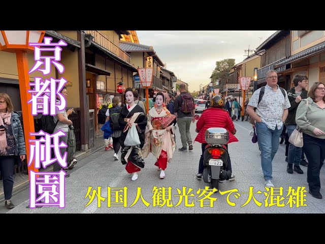 2023年4月10日 外国人観光客で大混雑する京都祇園を歩く 【4K】Walk in Gion,Kyoto