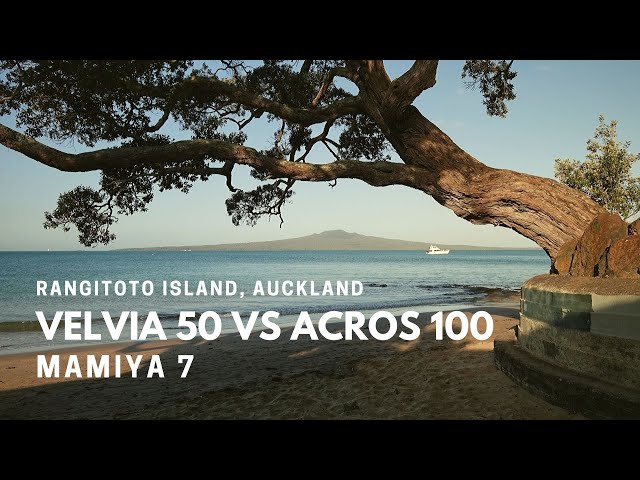 Mamiya 7 with Fuji Velvia 50 and Fuji Acros 100