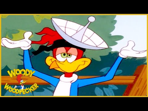 The New Woody Woodpecker Show | Full Episodes