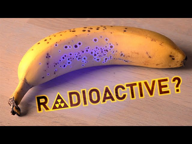 How radioactive are bananas and other radioactive foods?