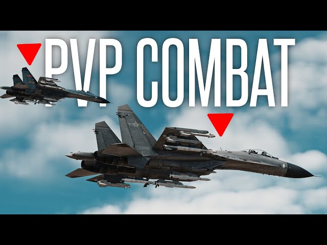 WHAT TDM IS LIKE IN A COMBAT FLIGHT SIM - DCS World PVP Gameplay