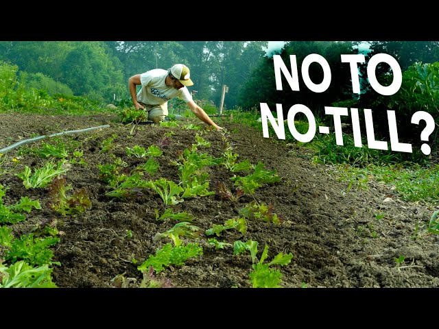 If No-Till is So Great, Why Isn't Everyone Doing it?