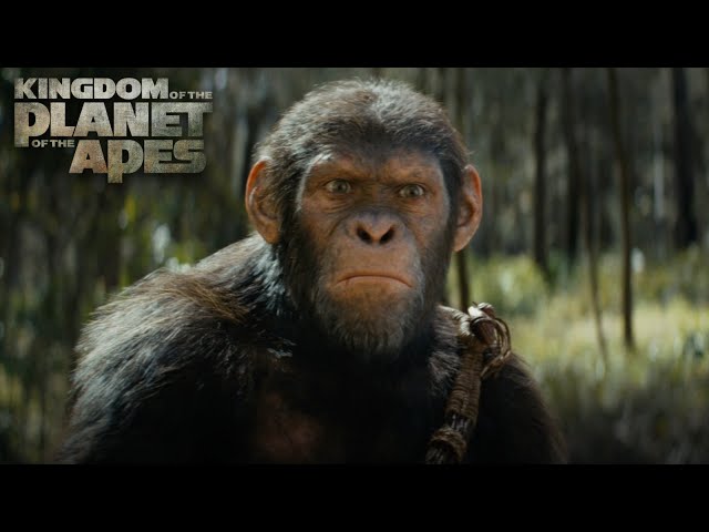 Kingdom of the Planet of the Apes | Exclusive IMAX® Trailer | In Cinemas 10 May