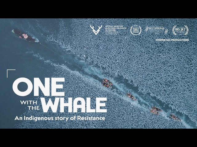 One With The Whale | Trailer | Coming Soon