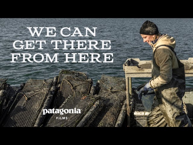 We Can Get There From Here | Towards Plastic-Free Oyster Farming Down East | Patagonia Films