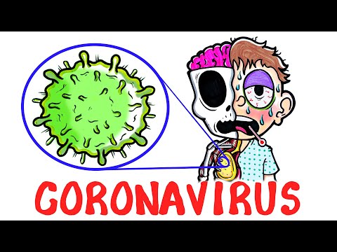 Coronavirus/COVID-19: What You Need to Know