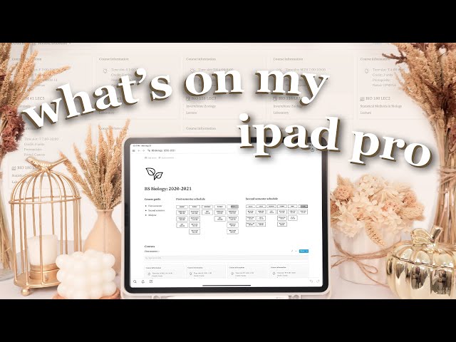 what's on my 12.9" M1 ipad pro 2021 ☁️  accessories, organization, & productivity apps
