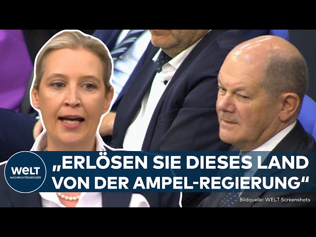 HAUSHALTSKRISE: "Rücktrittserklärung!" AfD-Chefin Alice Weidel fordert Olaf Scholz zum Rücktritt auf