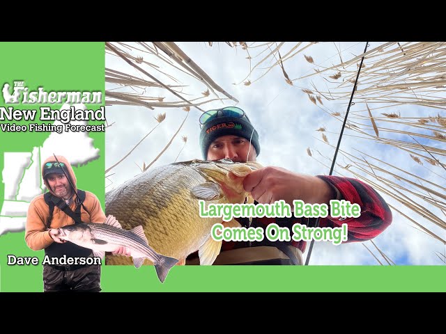 February 29th 2024 New England Video Fishing Forecast with Dave Anderson