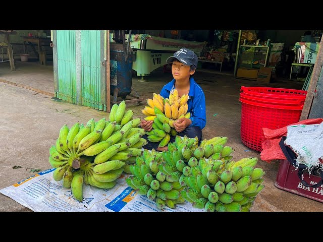 Orphan Boy - Harvesting Bananas Selling for a Living, Weeding the Garden - #survival #boy #farming