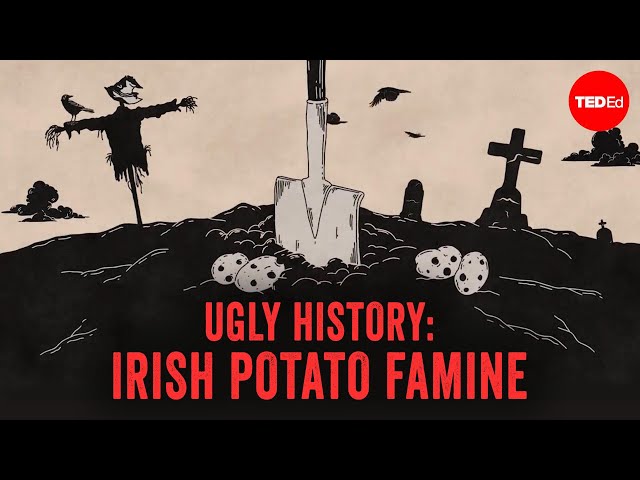 What really caused the Irish Potato Famine - Stephanie Honchell Smith
