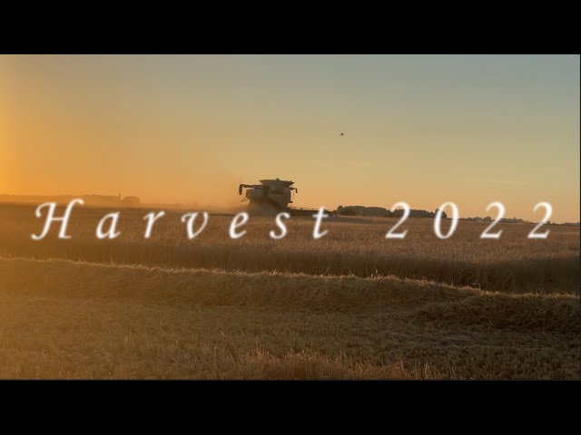 The Farm Harvest 2022