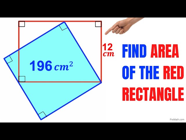 Blue Square area is 196 | Find area of the Red Rectangle | Important Geometry skills explained