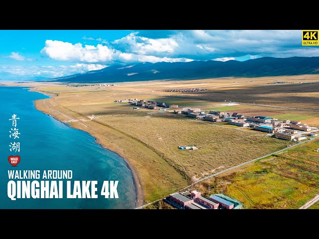 Walking Around Qinghai Lake | China's Famous "Green Lake" and "Wonderland" | 4K HDR | 青海湖