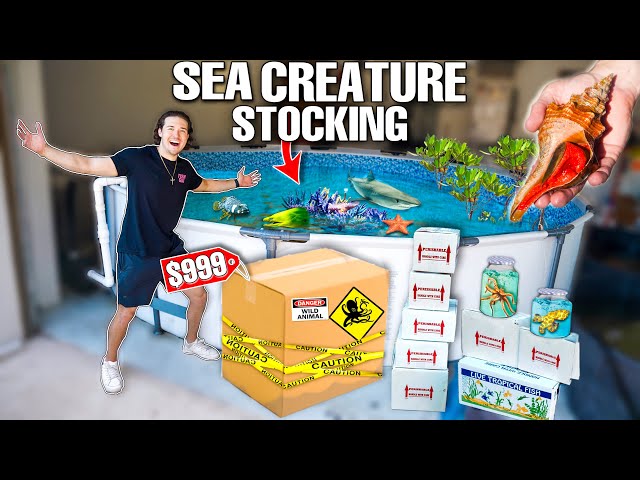Stocking My SALTWATER POND With TONS Of EXOTIC SEA CREATURES! (Mystery Box)