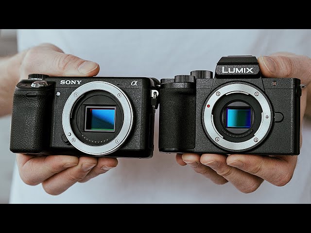 5 Cameras Under $300 You Should Buy As A Beginner
