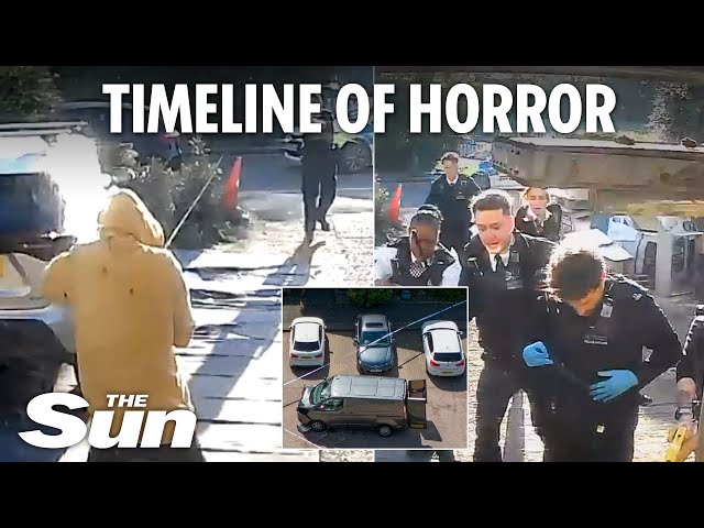 London sword attack - Attacker 'rammed pedestrian before killing boy & severing cop’s hand'