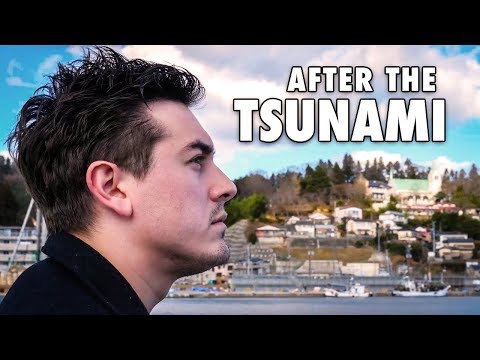 What Happened In Japan After The Tsunami?