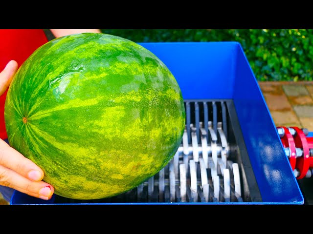Ice Watermelon VS Fast Shredder!