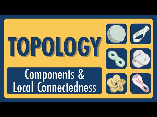 Topology Lecture 20: Components and Local Connectedness