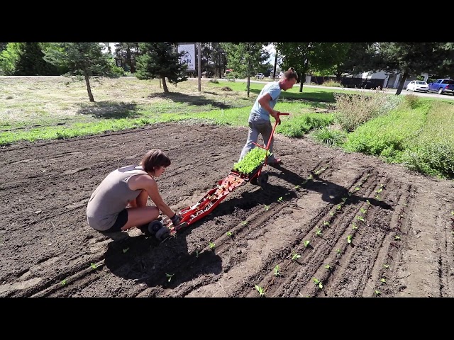 This Transplanter Takes Farming to the Next Level: Team Planting in Action!