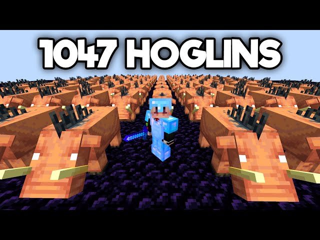 I Killed a Stacked Player using 1,047 Hoglins…