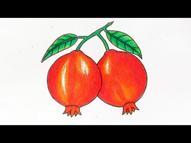 Easy pomegranate Fruit Drawing Step By Step.( সহজে ডালিম অংকন)