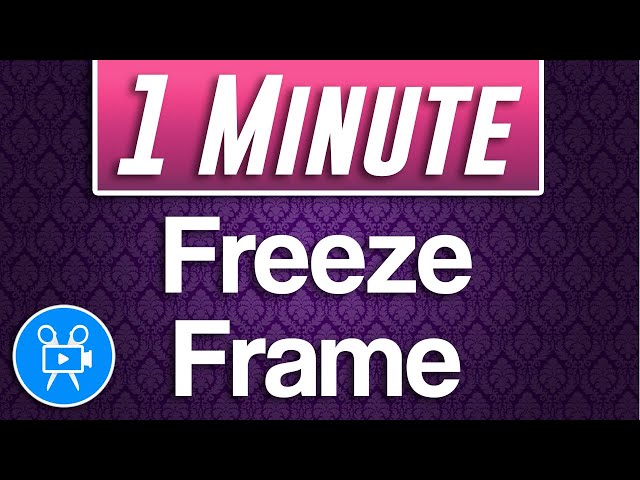 How to Freeze Frame Tutorial | Movavi Video Editor Plus