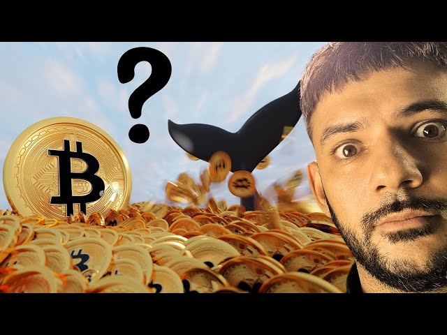 BITCOIN WHALES GONE MISSING