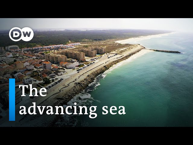 The battle against the sea - Coastal erosion in Portugal | DW Documentary
