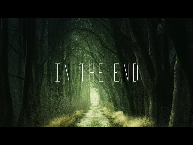Dash Berlin - In The End (Photographer Remix)