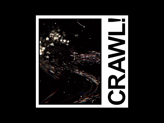 IDLES - CRAWL! (Official Audio)