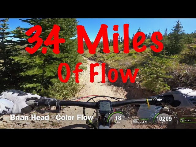 3.4 Miles of Flow at Brian Head Utah - Color Flow Trail - Trek Fuel EX - DVO Diamond Topaz air 3