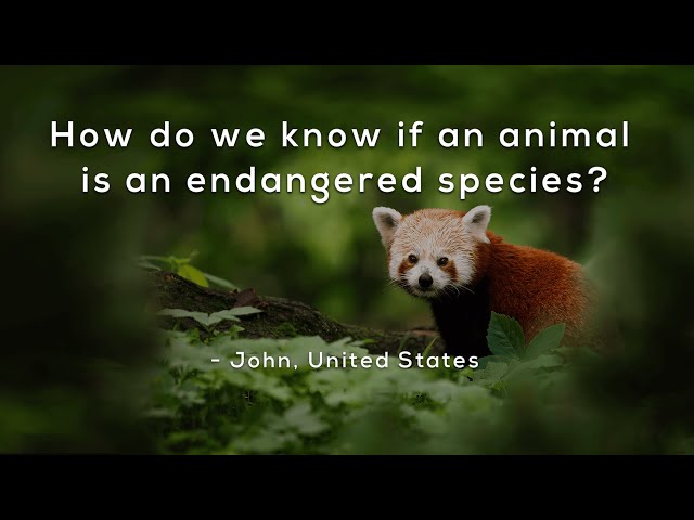 How do we know if an animal is an endangered species?