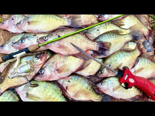 We LOADED The Boat with BIG SLABS! They CRUSHED EVERYTHING in Sight! — Jigging for Spring Crappie!