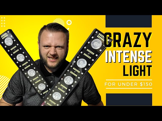 DJ Light Review | AMAZING LIGHT | $130 DJ Light | LaluceNatz 40" 100W 12 LED 3 In 1 RGB Stage Light
