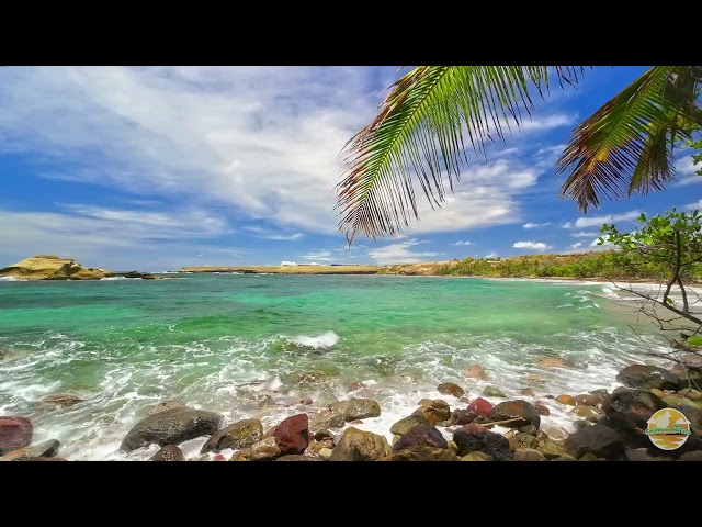 Ultimate Caribbean Bliss: Relaxing Ocean Waves Soothe your Soul in Paradise | Nature ASMR
