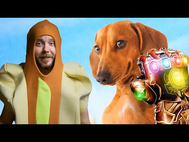 The Wiener Dog Cinematic Universe