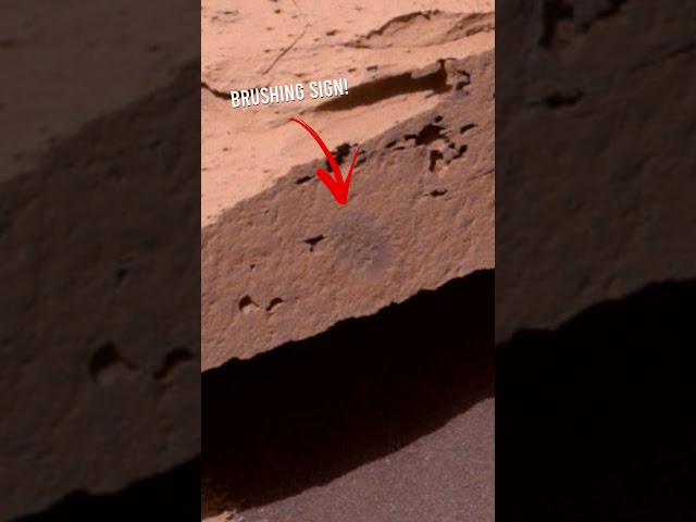 Flat Martian rock plate examined by Curiosity Mars Rover