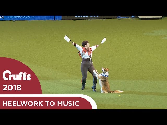 Heelwork to Music - Freestyle International Competition Part 3 | Crufts 2018